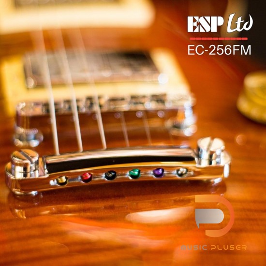 ESP LTD EC-256FM DARK BROWN SUNBURST ESP LTD EC-256FM DARK BROWN SUNBURST