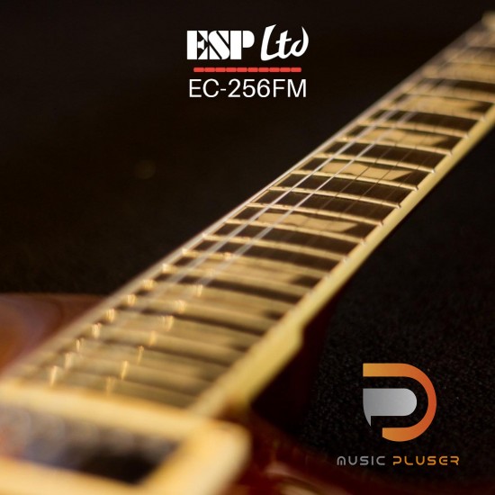 ESP LTD EC-256FM DARK BROWN SUNBURST