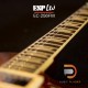 ESP LTD EC-256FM DARK BROWN SUNBURST