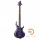 ESP LTD F-155DX