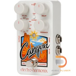 Electro-Harmonix Canyon Delay & Looper