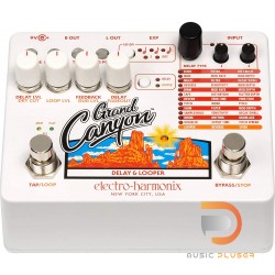 Electro-Harmonix Grand Canyon Delay & Looper