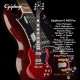 Epiphone G 400 Pro