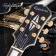 Epiphone Les Paul Custom Pro