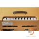 FENDER '59 BASSMAN FENDER '59 BASSMAN