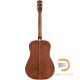 FENDER PM-1 STANDARD DREADNOUGHT ALL-MAHOGANY FENDER PM-1 STANDARD DREADNOUGHT ALL-MAHOGANY