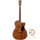 FENDER PM-3 TRIPLE-0 NE, ALL-MAHOGANY FENDER PM-3 TRIPLE-0 NE, ALL-MAHOGANY