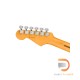 Fender American Professional II Stratocaster (Roasted Pine Body)