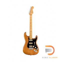 Fender American Professional II Stratocaster (Roasted Pine Body)