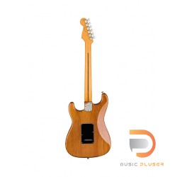 Fender American Professional II Stratocaster (Roasted Pine Body)