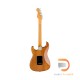 Fender American Professional II Stratocaster (Roasted Pine Body)