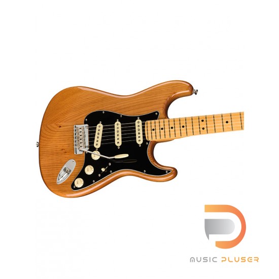 Fender American Professional II Stratocaster (Roasted Pine Body)