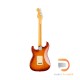 Fender American Professional II Stratocaster (Roasted Pine Body)