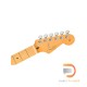 Fender American Professional II Stratocaster HSS (Roasted Pine Body)