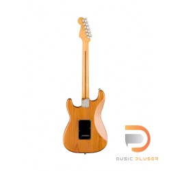 Fender American Professional II Stratocaster HSS (Roasted Pine Body)