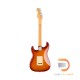 Fender American Professional II Stratocaster HSS (Roasted Pine Body)