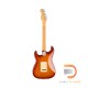 Fender American Professional II Stratocaster HSS (Roasted Pine Body)