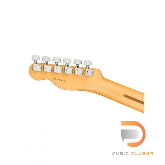 Fender American Professional II Telecaster (Roasted Pine Body)