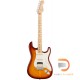 Fender American Professional Stratocaster HSS Shawbucker