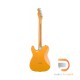 Fender American Ultra Telecaster (Ash Body)