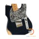 Fender Brad Paisley Esquire