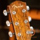 Fender FA-125CE Fender FA-125CE
