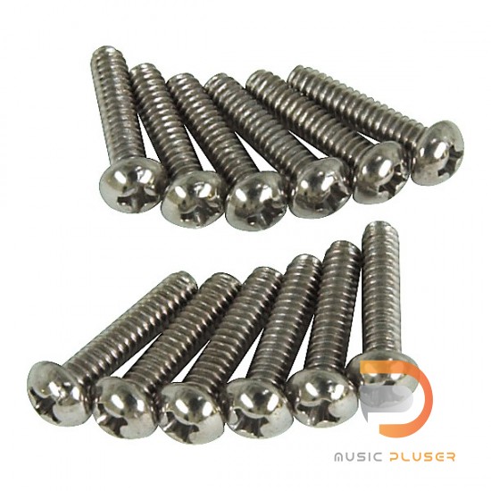 Fender Pickup/Switch Screws 12 Piece