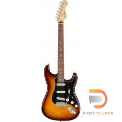 Fender Player Stratocaster Plus Top