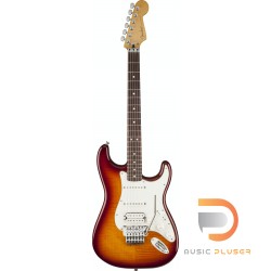 Fender Standard Stratocaster Plus Top w/ Floyd Rose