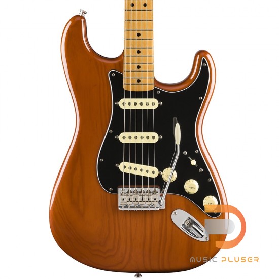 Fender Vintera '70s Stratocaster Fender Vintera '70s Stratocaster