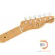 Fender Vintera '70s Telecaster Thinline Fender Vintera '70s Telecaster Thinline