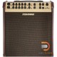 Fishman Loudbox Performer 180W