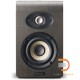 Focal Shape 40 ( Single )