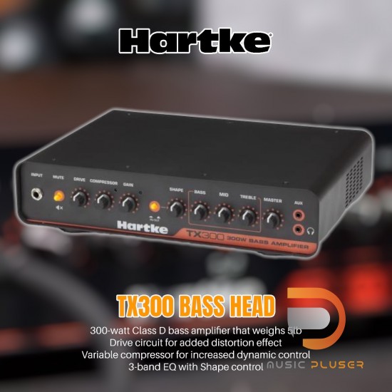 HARTKE TX300 BASS HEAD