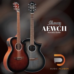 กีตาร์โปร่งไฟฟ้า Ibanez AEWC11