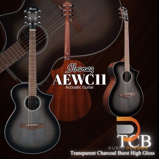 กีตาร์โปร่งไฟฟ้า Ibanez AEWC11