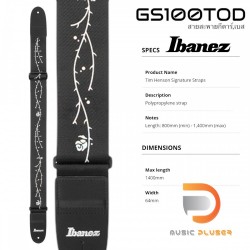 Ibanez GS100TOD