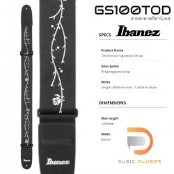 Ibanez GS100TOD