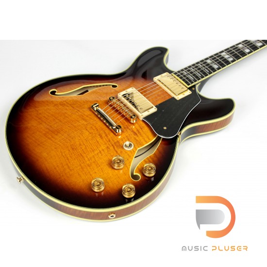 Ibanez JSM100 John Scofield Signature Ibanez JSM100 John Scofield Signature