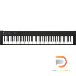 KORG D1