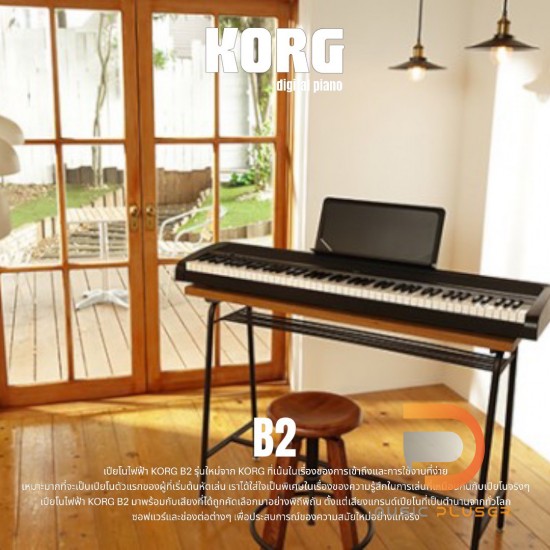 KORG PIANO B2