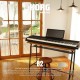 KORG PIANO B2 KORG PIANO B2