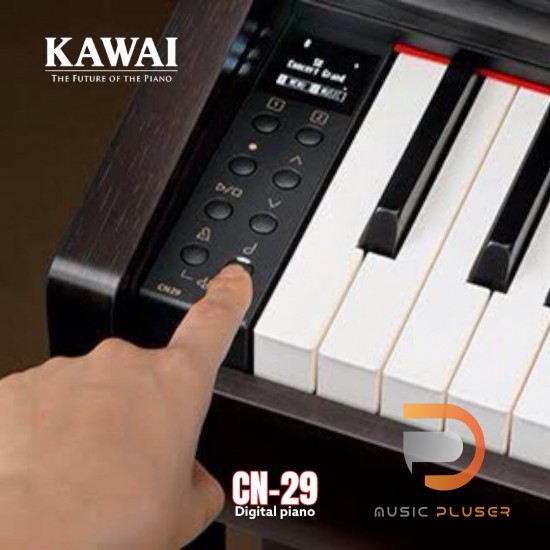 Kawai CN29