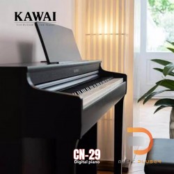 Kawai CN29