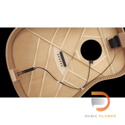 LR Baggs iBeam Active System Nylon String