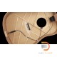 LR Baggs iBeam Active System Nylon String