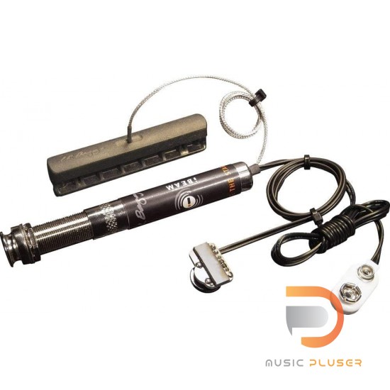 LR Baggs iBeam Active System Steel String LR Baggs iBeam Active System Steel String