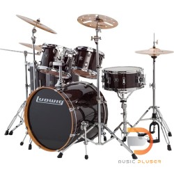 Ludwig Evolution Maple