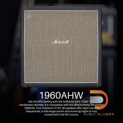 Marshall 1960AHW Cabinet