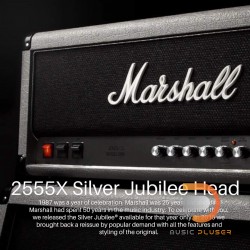 Marshall 2555X Silver Jubilee Head